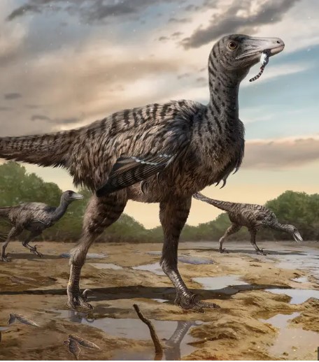 Крупнейшие следы хищного динозавра обнаружили в Китае  