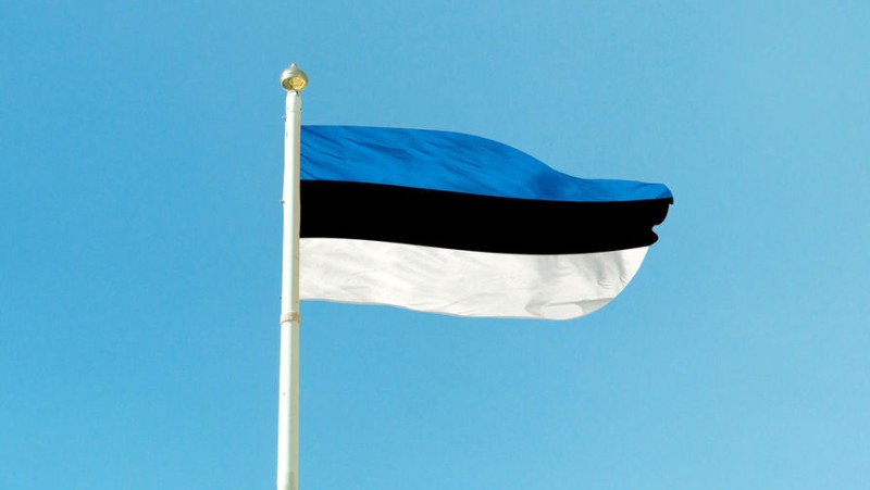 Эстония не отдаст Украине военнообязанных граждан