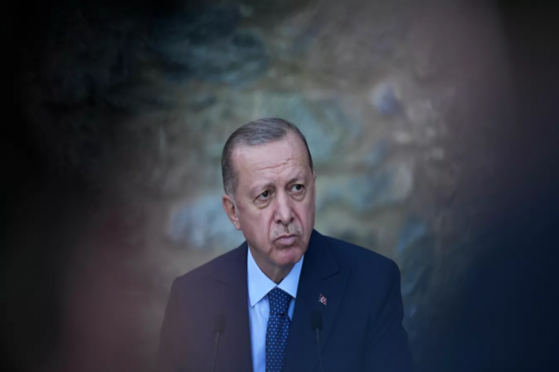 Эрдоган назвал небольшими шансы на урегулирование конфликта в Украине без участия России