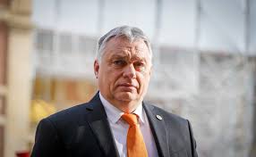 Орбан заверил Зеленского в поддержке усилий по урегулированию конфликта на Украине